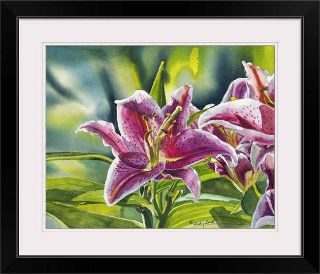 "Stargazer Glory" 12x16 signed edition canvas or paper Giclee Reprod. of a Stargazer Lily