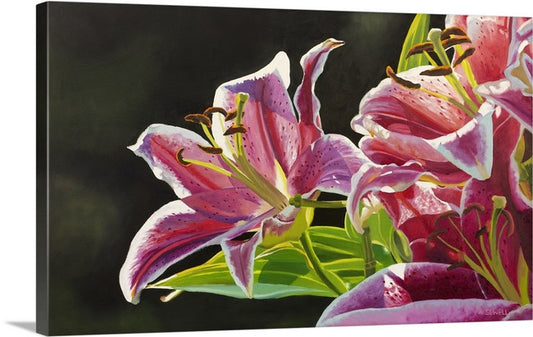 "Stargazer Glow" - 48"x30" Original oil on canvas or Open ed. Giclée of a Stargazer Lily