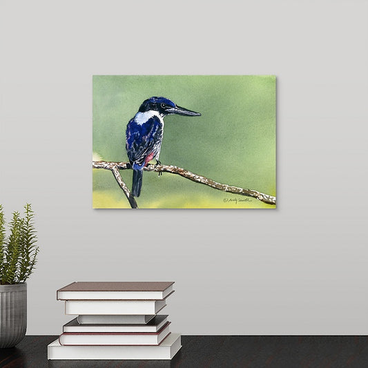 "U is for Ultramarine Kingfisher" Original 7x10 or framed 11x14 watercolor or giclee print