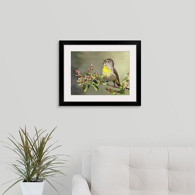 "Virginia Warbler"- An 8x12 Giclee from watercolor