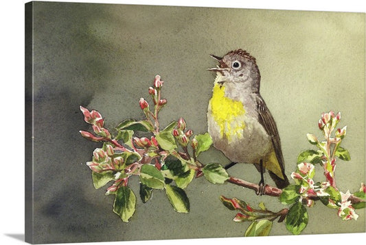 "Virginia Warbler"- An 8x12 Giclee from watercolor