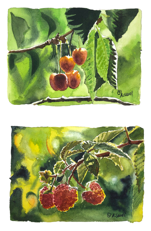 "Berries & Cherries" Original 5x7 watercolors