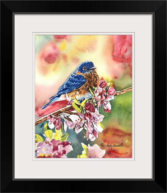 "Bluebird in the Blossoms" - Original watercolor painting, or paper or canvas Giclée art print of a Western Bluebird in the blossoms.