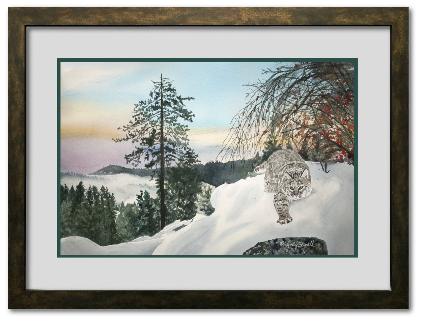 "Winter Bobcat" - 14x22, signed Giclée reprod. from a watercolor