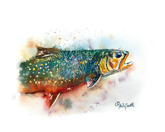 "Brookie Splashes" - original watercolor or print, Brook Trout wall art