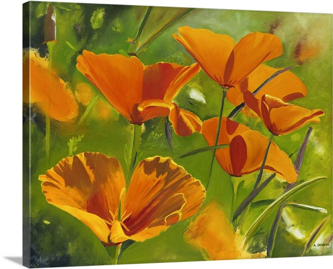 A "California Poppies" - 16x22 Canvas Giclée art print of oil painting of California Poppies