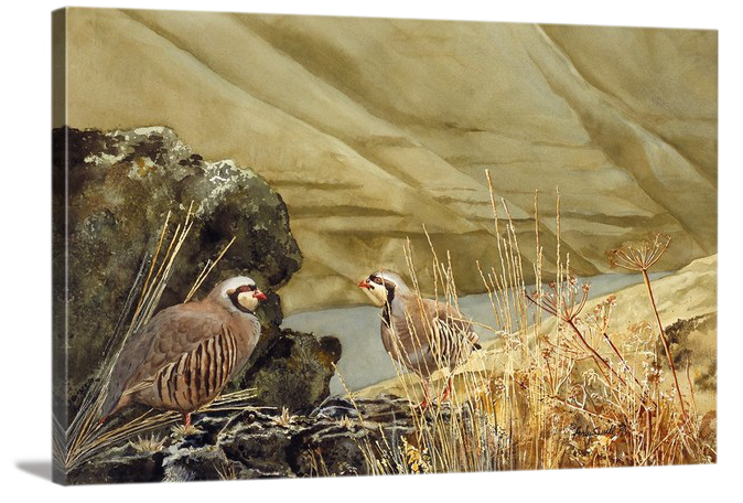 "Chukars on the Snake" - A limited edition s/n Giclee art print from an Original watercolor of chukars