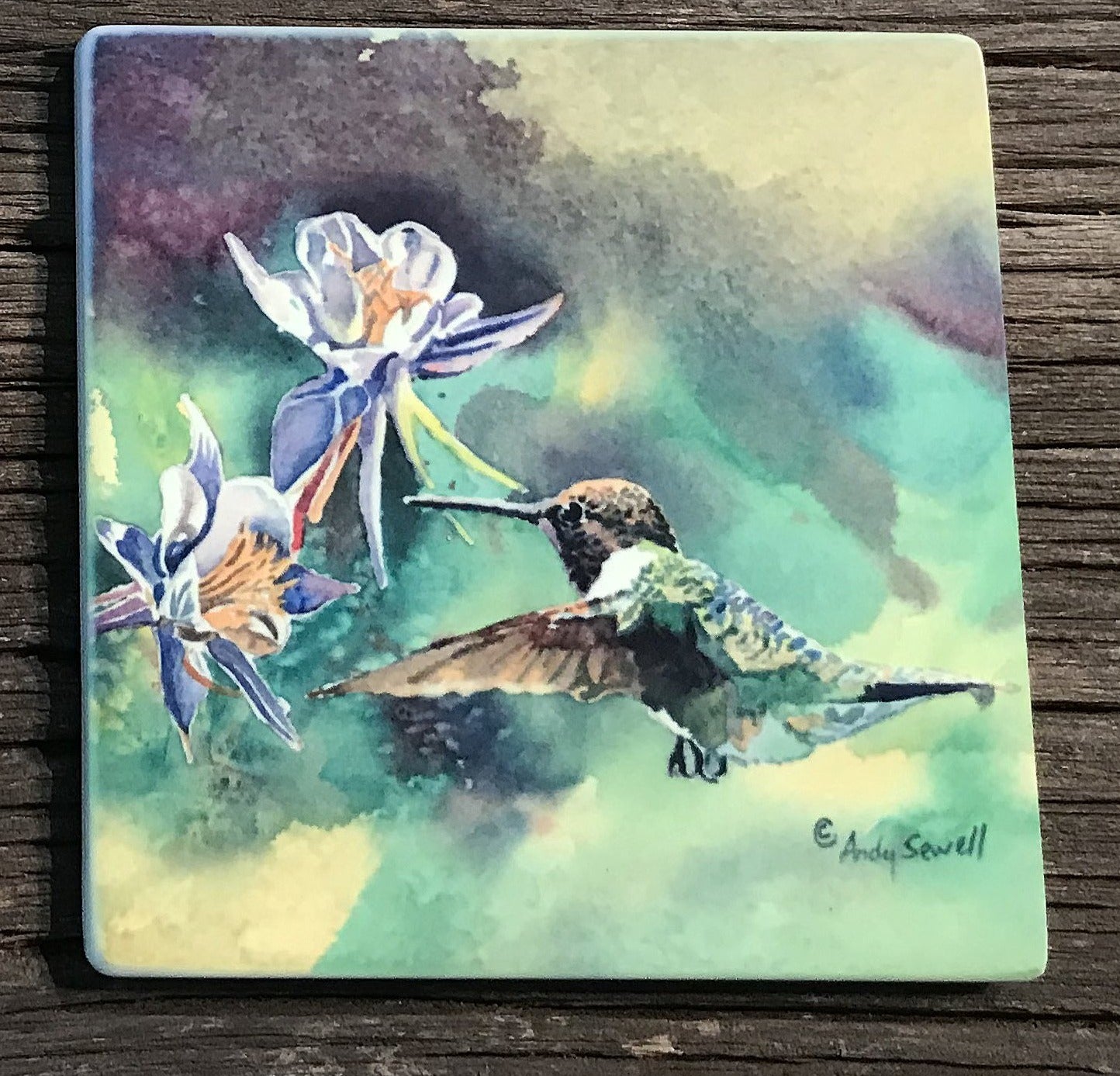ASC310 "Hummingbird at Colombine" ceramic coaster