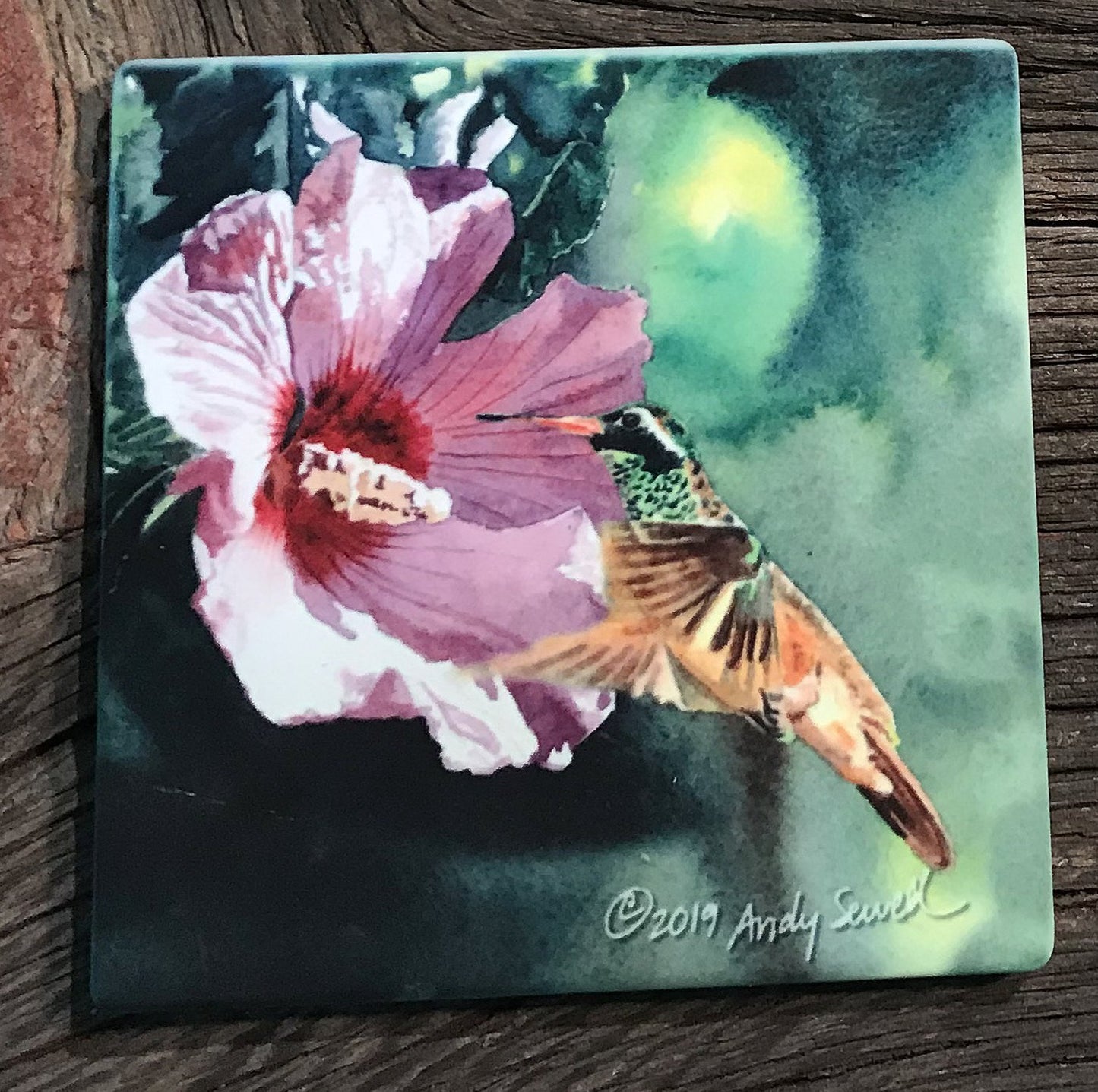 ASC187 "X is for Xantus Hummer" ceramic coaster