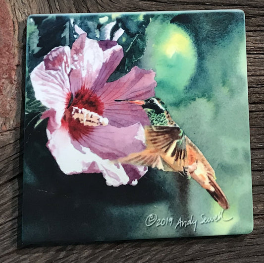 ASC187 "X is for Xantus Hummer" ceramic coaster