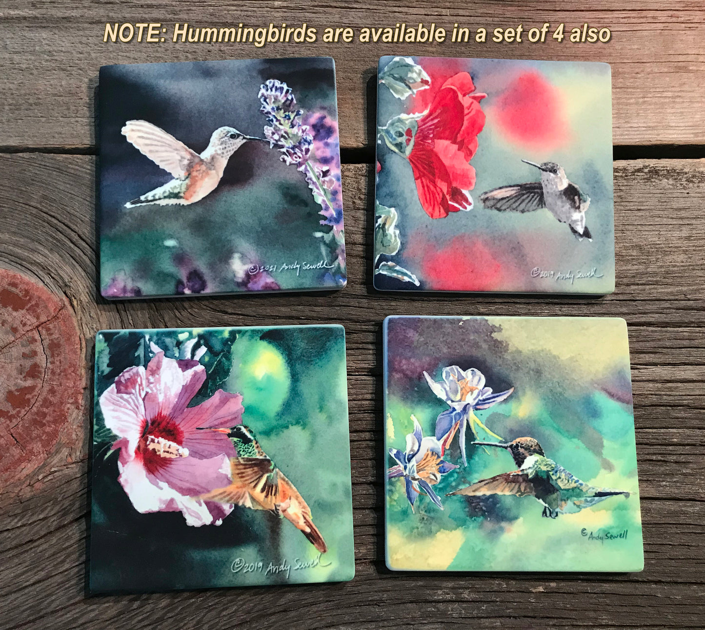 ASC187 "X is for Xantus Hummer" ceramic coaster