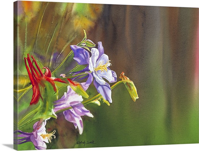 "Purple Colombine" 18x24 giclee print - a signed canvas or paper print from watercolor