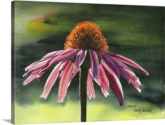 "Purple Cone Flower" 12x16 signed edition canvas or paper Giclee Reprod. of a Purple Cone Flower