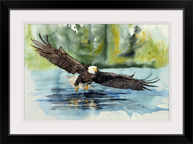 "Eagle: Fish Fear Him" - A limited edition s/n Giclee art print  from an Original watercolor of an eagle over the water