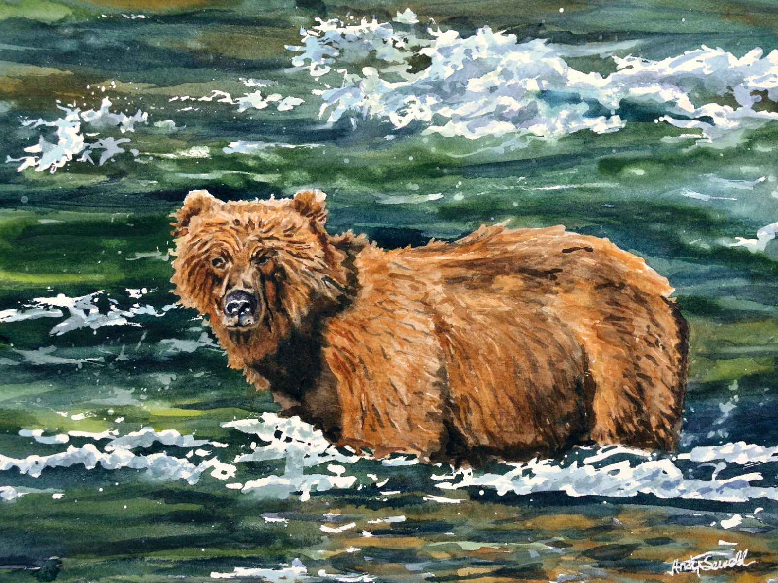 Grizzly Fishing - 11x15 Original watercolor or Giclée print.