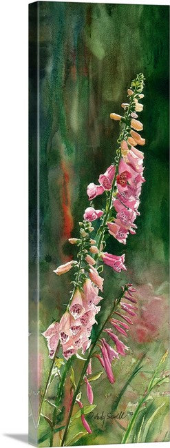 "Foxglove" - an 8"x24" limited edition s/n giclee art print from an original watercolor