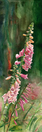 "Foxglove" - an 8"x24" limited edition s/n giclee art print from an original watercolor