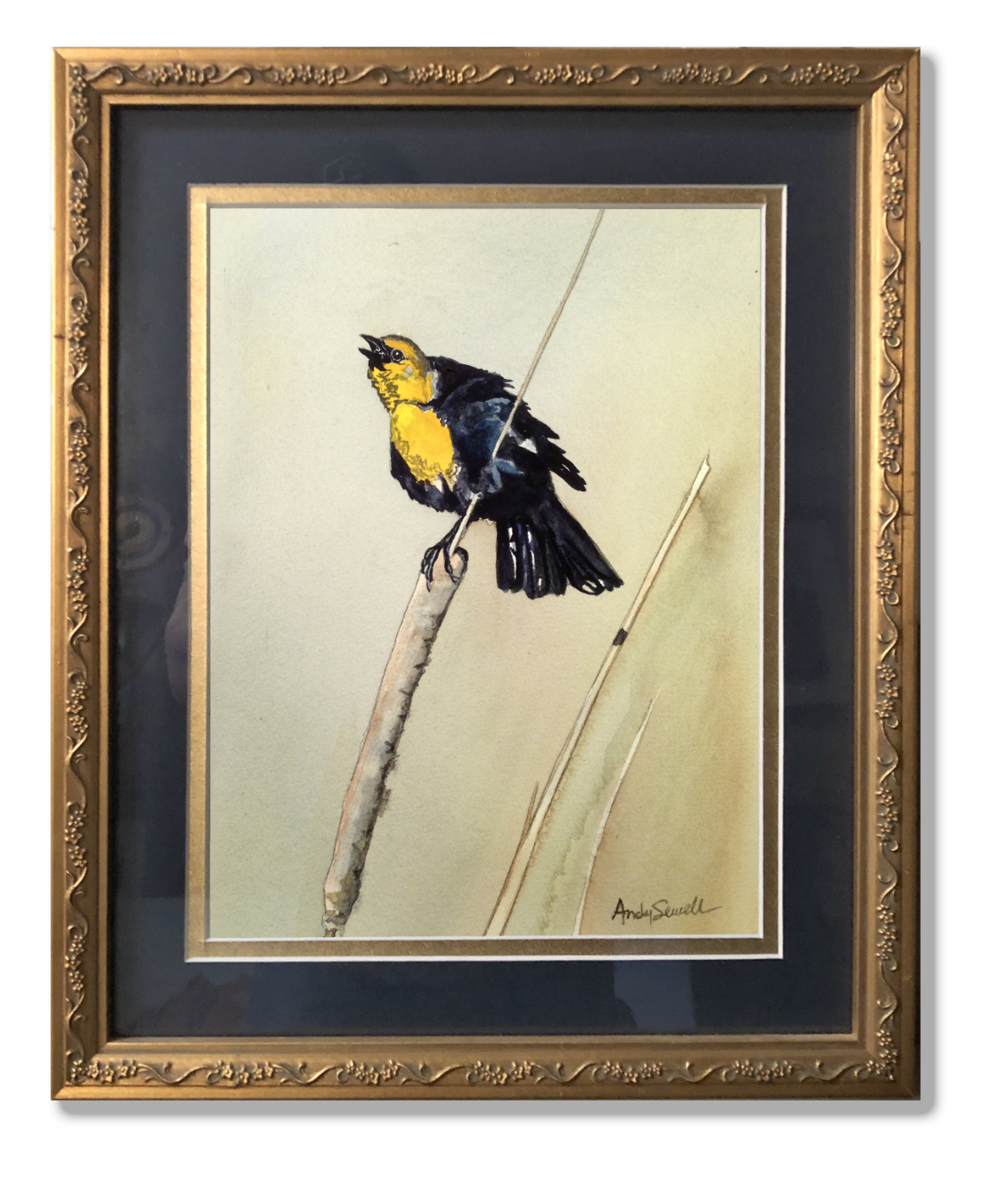 Yellow Headed Blackbird - An Original 8x12 watercolor or giclee print