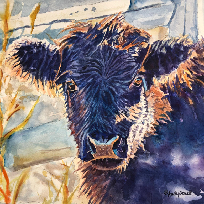 "Harry the Highlander" 12x16 Original watercolor or signed edition Giclee Reprod.