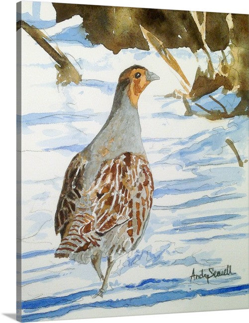 "Winter Hun" - Hungarian Partridge Archival Watercolor Print S/N Ltd. Ed.