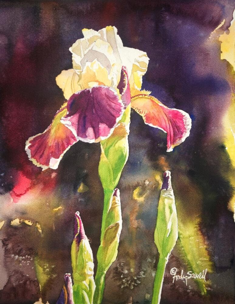 Iris Light Art Print - 12"x16" a signed edition giclee art print from an original watercolor of Iris