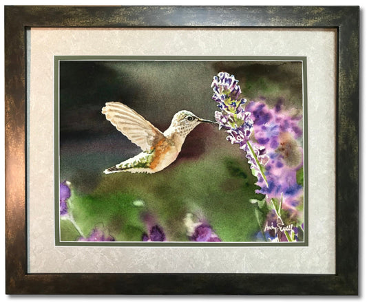 Hummingbird at Lavender - 7" x 11" Archival Watercolor Print S/N Ltd. Ed. by Andy Sewell