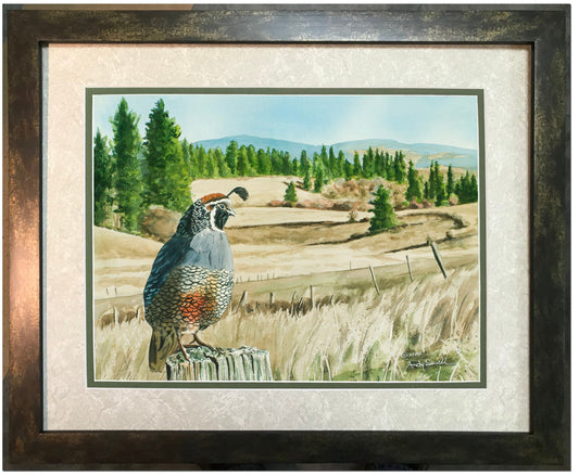 "KING of the VALLEY" A limited edition s/n Giclee reproduction of California quail art, watercolor print  - by Andy Sewell