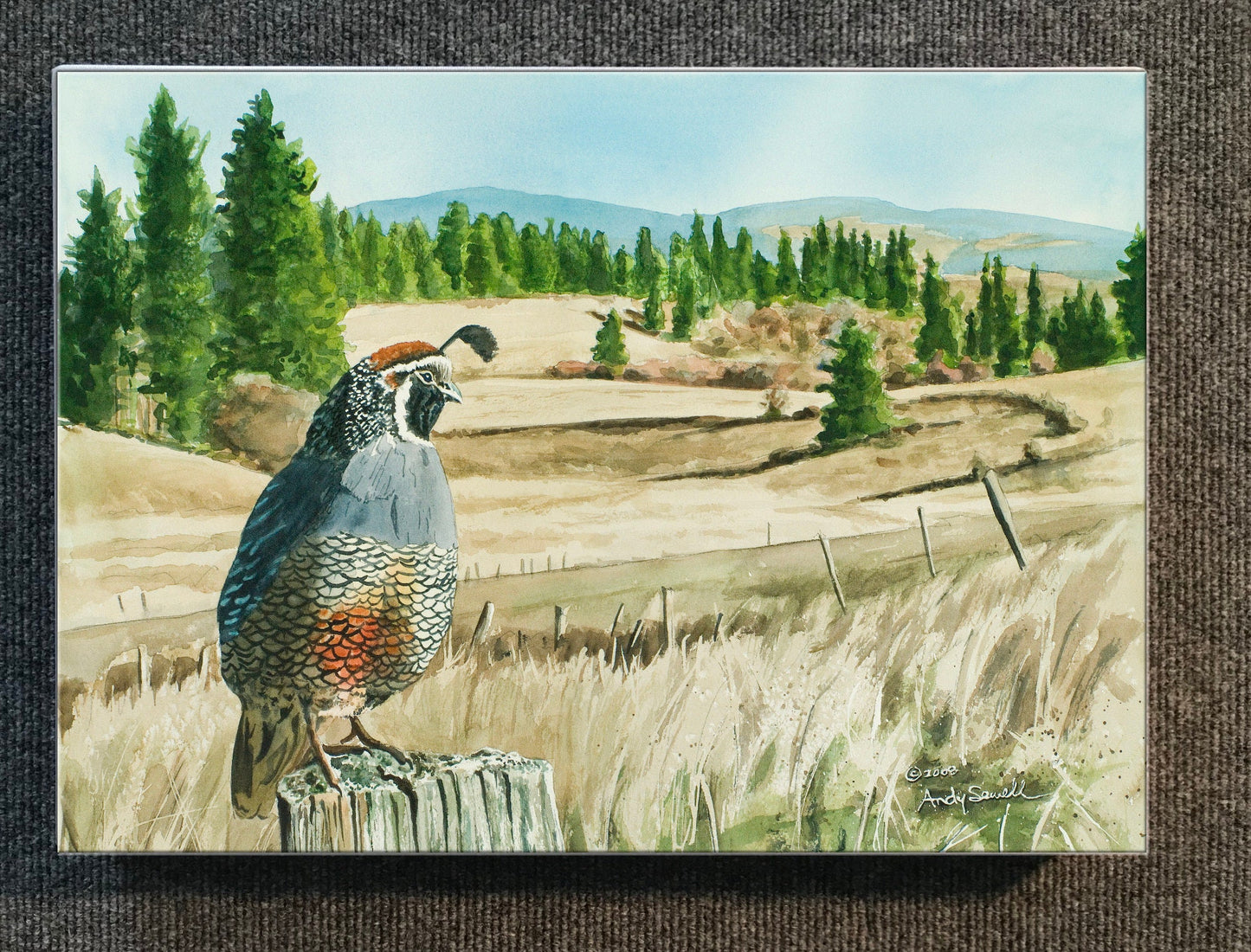 "KING of the VALLEY" A limited edition s/n Giclee reproduction of California quail art, watercolor print - by Andy Sewell
