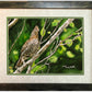 "Ruffed Grouse" - Archival Watercolor Print S/N Ltd. Ed. by Andy Sewell