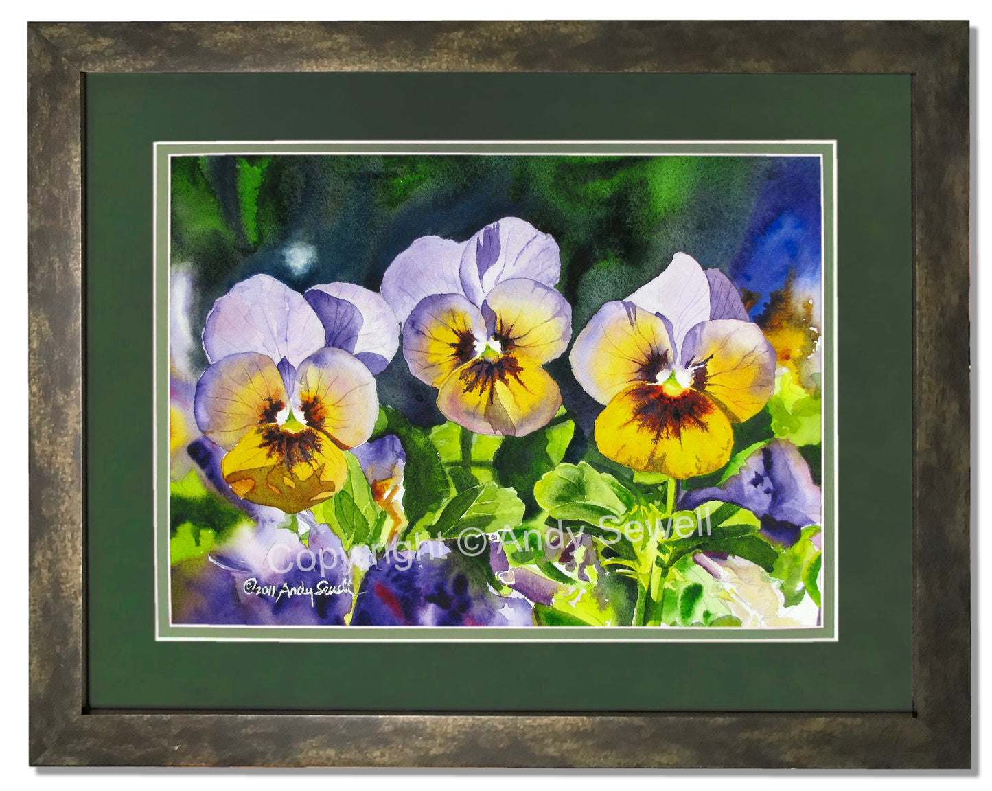 "Pansy Trio" - 12x16 Watercolor Original or Archival Watercolor Print S/N Ltd. Ed. by Andy Sewell