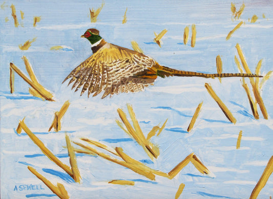 "Winter Pheasant" - A 6"x8" Original oil of a pheasant in the winter