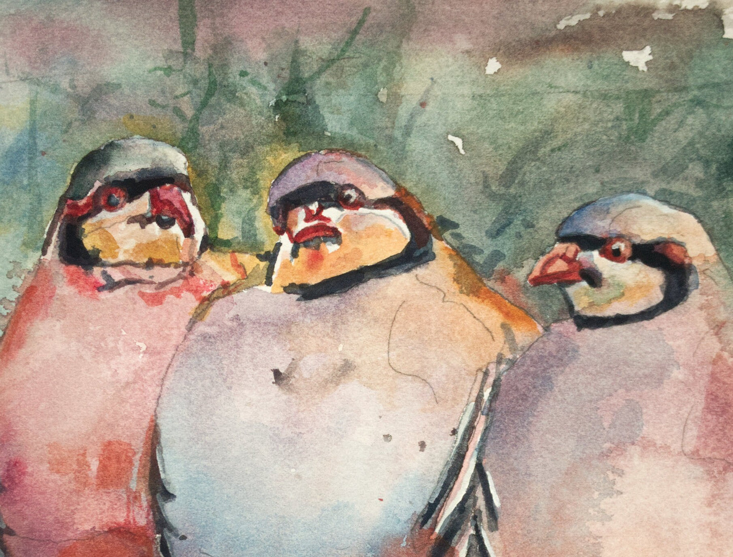 "Chukar Dance" - A watercolor giclee print of 3 chukars strutting in the sun - by Andy Sewell