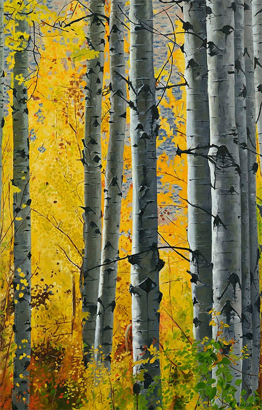 "October Gold" - Canvas Giclée art print of oil painting of Yellow Aspen trees in the fall