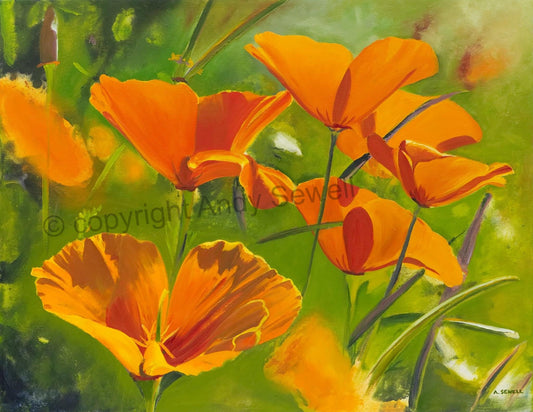 A "California Poppies" - Original painting or Canvas Giclée art print of oil painting of California Poppies