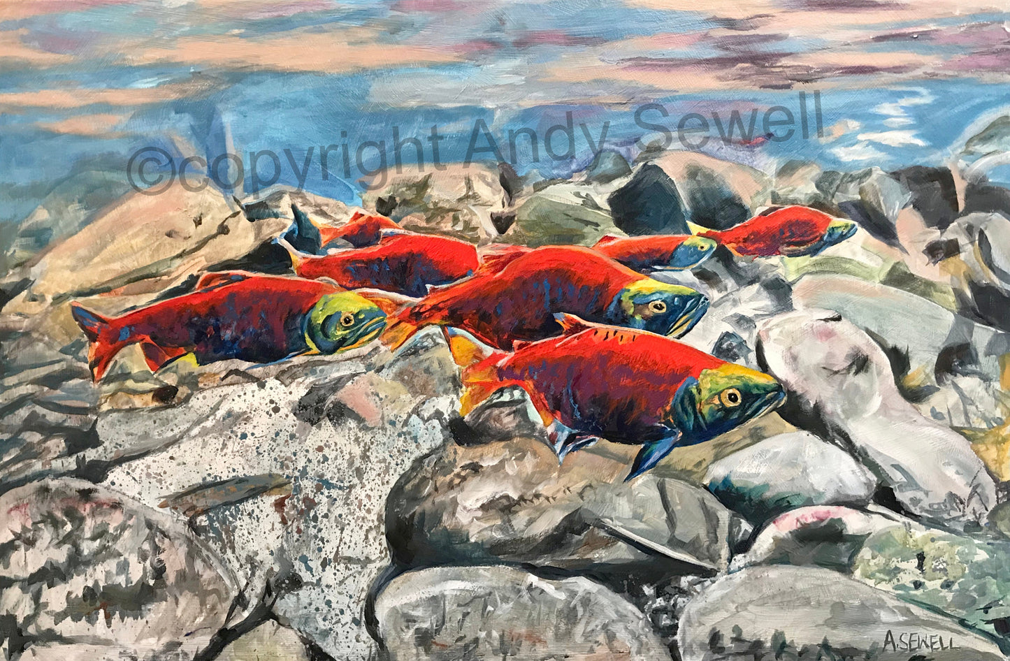 "Return of the Reds" - a canvas signed print of Sockeye Salmon or Kokanee on the return upstream.
