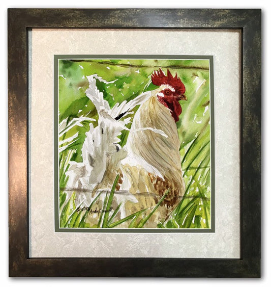 "Feathers in the Wind"- 11" x 10" Original Watercolor painting or Print S/N Ltd. Ed. of country chicken