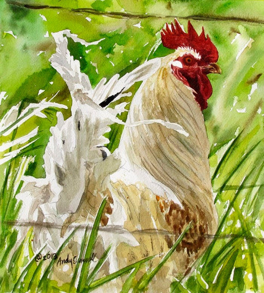"Feathers in the Wind"- 11" x 10" Original Watercolor painting or Print S/N Ltd. Ed. of country chicken