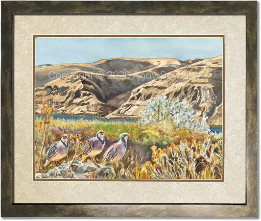 "River Chukar Trio" - An open ed. Giclee reprod. of Chukars on the river.