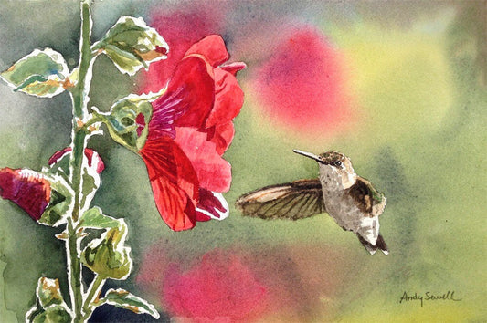 Hummingbird at Hollyhock - 7" x 11" Archival Watercolor Print S/N Ltd. Ed. by Andy Sewell