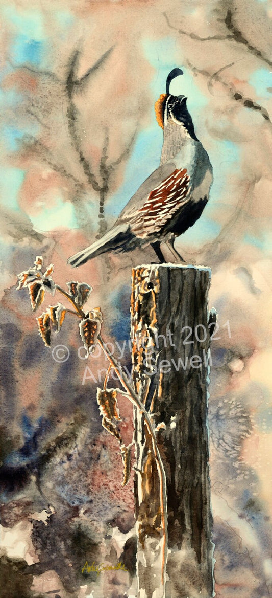 "Quail Morning Call"  A ltd. edition s/n Giclee watercolor print of California quail art - by Andy Sewell