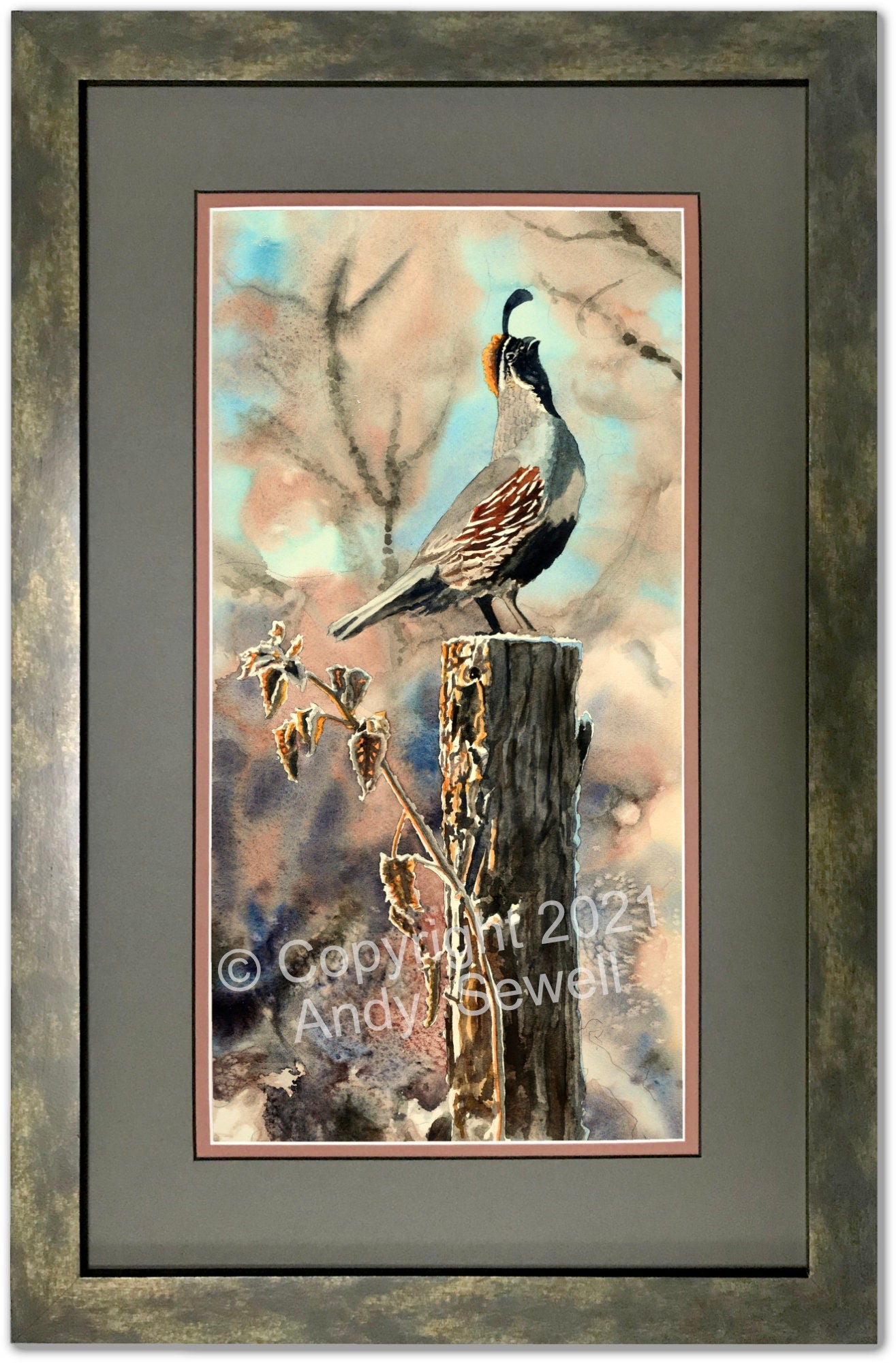 "Quail Morning Call" A ltd. edition s/n Giclee watercolor print of California quail art - by Andy Sewell
