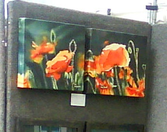 "Poppy Evening" Orange Poppy wall Art Print - A ltd. ed. s/n Giclee art print from a watercolor of poppies in the sun