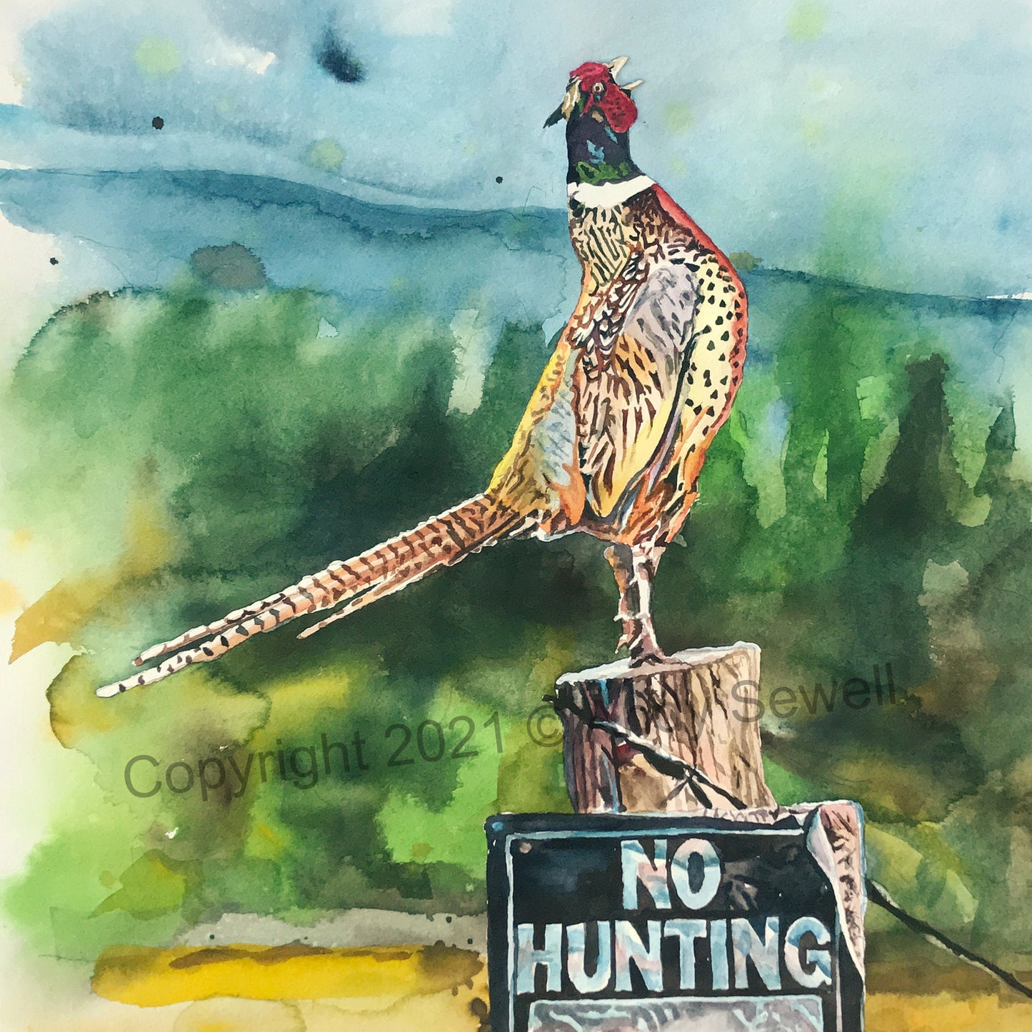 "Something to Crow About" 18x24 Original watercolor of pheasant, prints also available