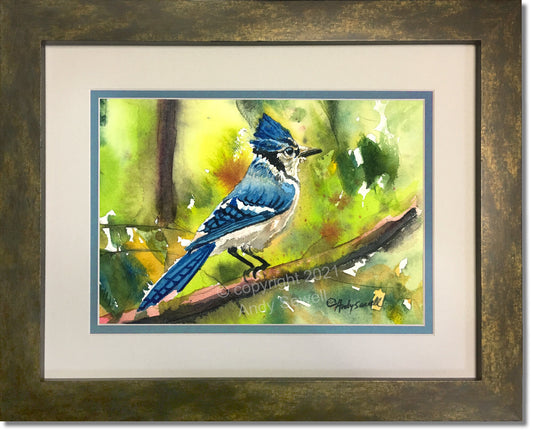 Blue Jay - Blue Jay Watercolor signed Print or Original watercolor painting by Andy Sewell