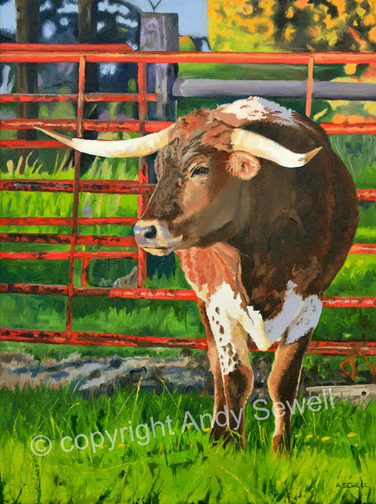 Texas Longhorn art print “Longhorn Ted” - Fine art Giclée print signed, Longhorn wall art, cow wall art