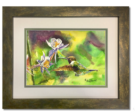 Hummingbird at Columbine - An Original watercolor or print, Hummingbird wall art - by Andy Sewell