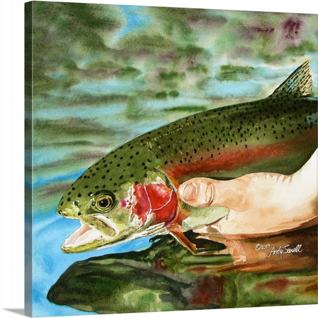 "Rainbow Release" Rainbow Trout Art Print - a ltd. ed. s/n Giclee rainbow trout art print from a watercolor - by Andy Sewell