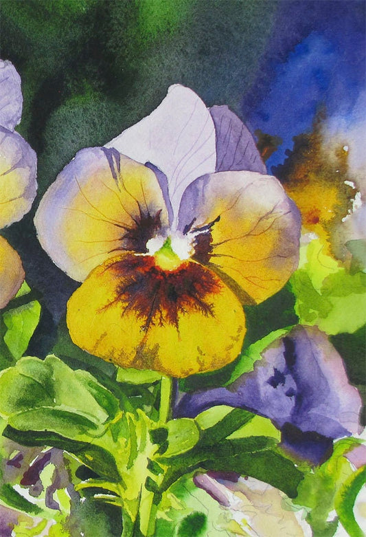 "Pansy Trio" - 12x16 Watercolor Original or Archival Watercolor Print S/N Ltd. Ed. by Andy Sewell