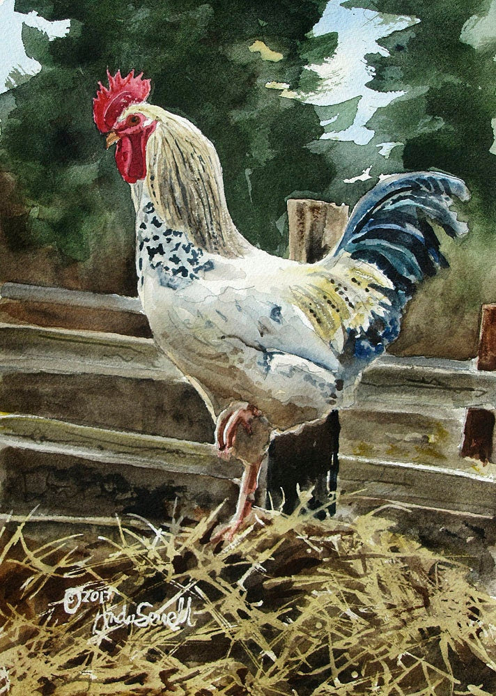 Rooster art print - 7.5" x 10" Archival Watercolor Print S/N Ltd. Ed. of country chicken by Andy Sewell