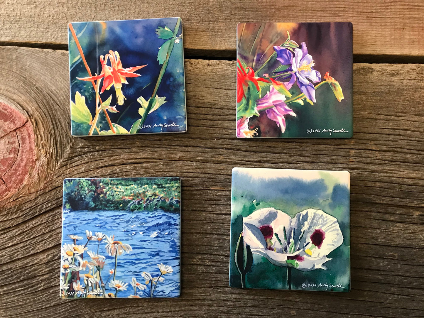 ASC282 "Sego Lilly" ceramic coaster